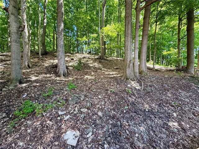103 Viceroy Drive, Camillus, NY 13031
