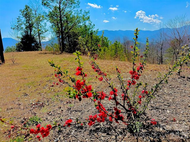 521 Duchess Drive, Sylva, NC 28779