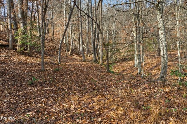 106 Barker Road, Rogersville, TN 37857