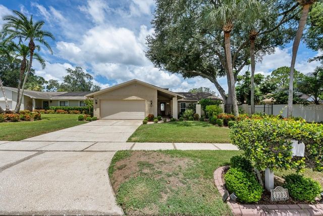 3303 EL AMADOR COURT, Tampa, FL 33614