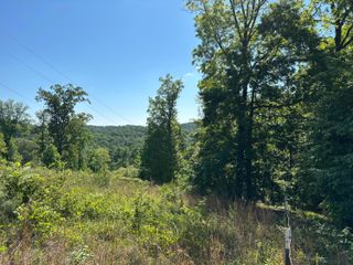 Lot 25 Van Davis Road NW, Georgetown, TN 37336