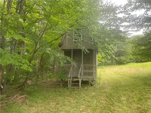 858 Randall Hill Road, Masonville, NY 13839