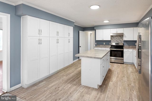 17063 W HOLLY DR, Milton, DE 19968