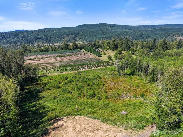 233 Young Road, Mossyrock, WA 98564