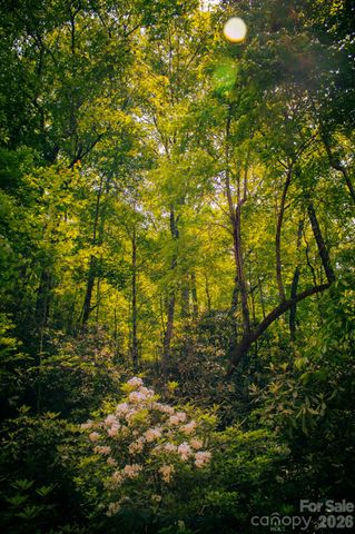TBD Fox Den Road 57&59, Brevard, NC 28712