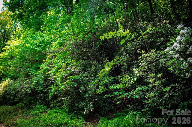 TBD Fox Den Road 57&59, Brevard, NC 28712