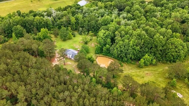 541 Old Ness Plantation, Carriere, MS 39426