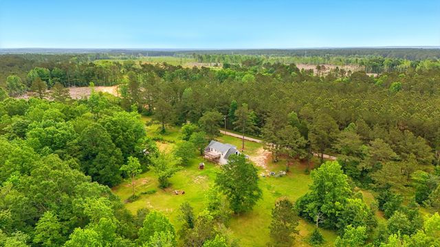 541 Old Ness Plantation, Carriere, MS 39426