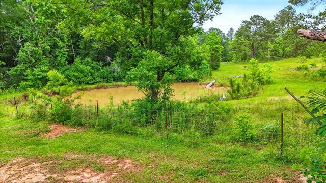 541 Old Ness Plantation, Carriere, MS 39426