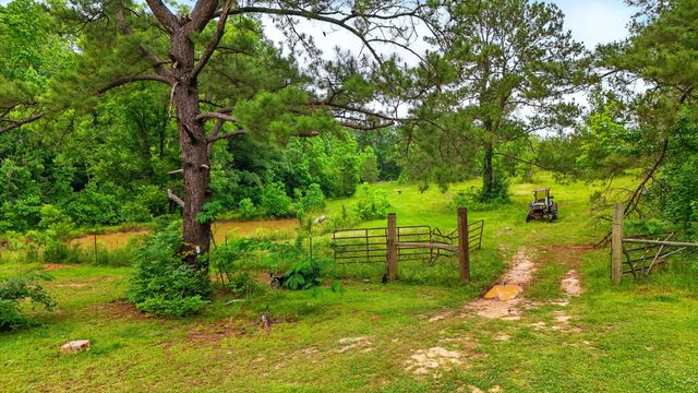 541 Old Ness Plantation, Carriere, MS 39426