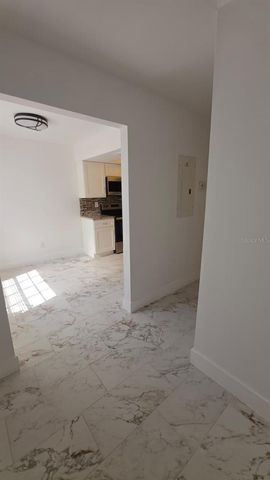 14045 NOTREVILLE WAY, Tampa, FL 33624