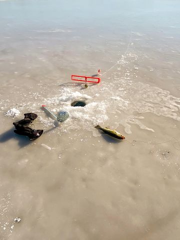 8573 W Lakeshore Drive, Perry, MI 48872