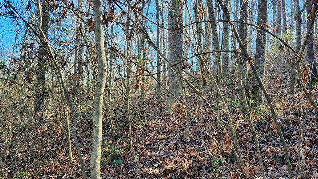 0 Rector Road 11.5 Ac, Jasper, TN 37347