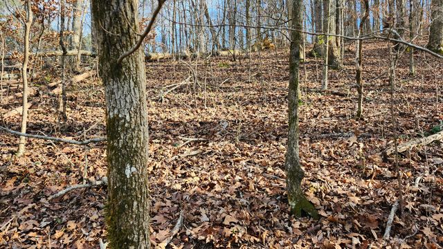 0 Rector Road 11.5 Ac, Jasper, TN 37347