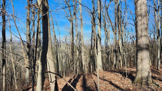 0 Rector Road 11.5 Ac, Jasper, TN 37347