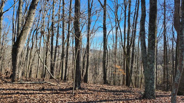 0 Rector Road 11.5 Ac, Jasper, TN 37347