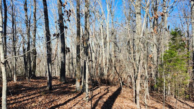0 Rector Road 11.5 Ac, Jasper, TN 37347