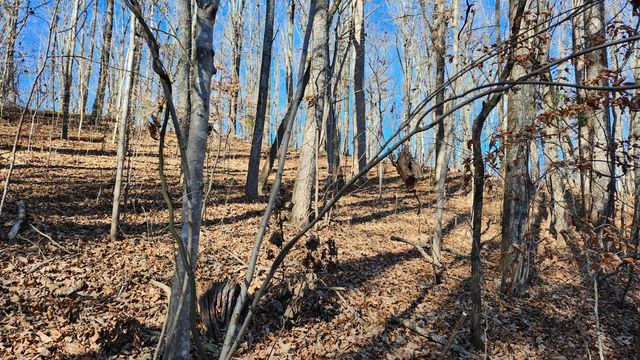 0 Rector Road 11.5 Ac, Jasper, TN 37347