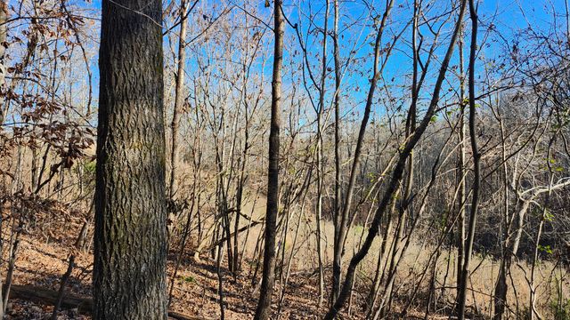 0 Rector Road 11.5 Ac, Jasper, TN 37347