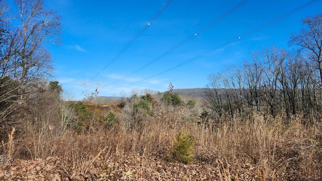 0 Rector Road 11.5 Ac, Jasper, TN 37347