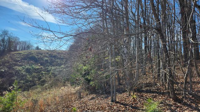 0 Rector Road 11.5 Ac, Jasper, TN 37347