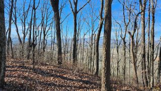 0 Rector Road 11.5 Ac, Jasper, TN 37347