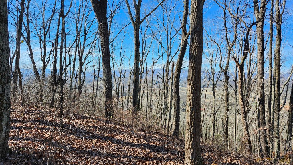 0 Rector Road 11.5 Ac, Jasper, TN 37347