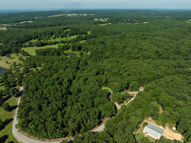 306 N Rainey Lane, Cave City, AR 72521