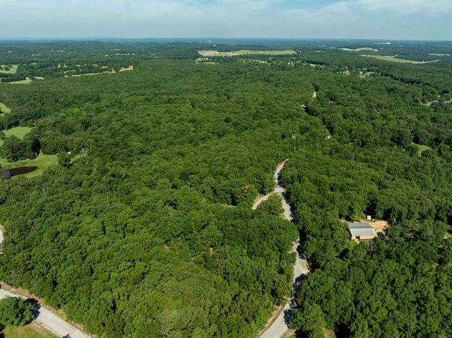 306 N Rainey Lane, Cave City, AR 72521