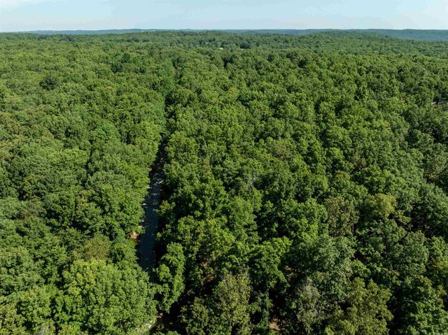 306 N Rainey Lane, Cave City, AR 72521