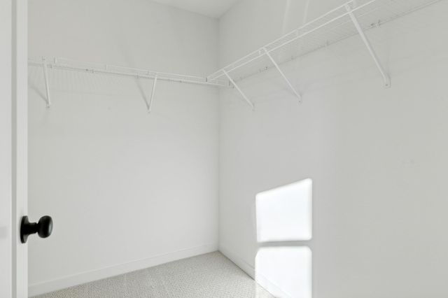 5014 Airlake Draw, Woodbury, MN 55129