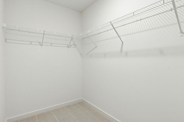 5014 Airlake Draw, Woodbury, MN 55129