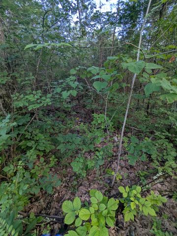 1511 Finley Beech Rd, Lewisburg, TN 37091