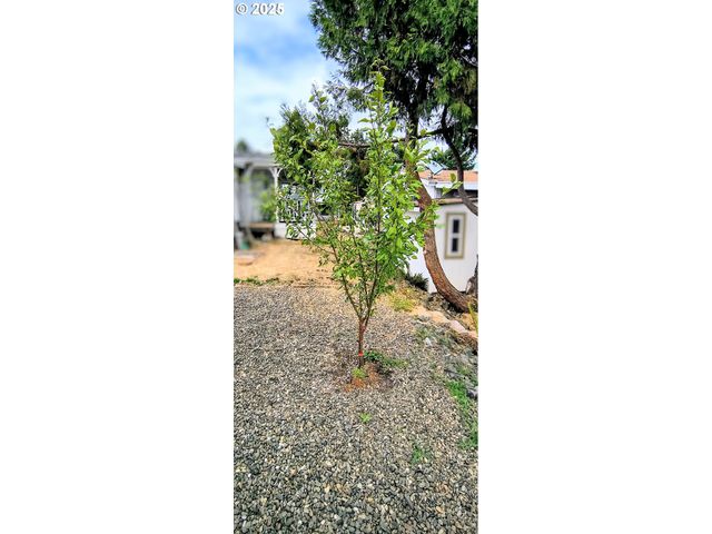 180 TWIN OAKS Loop, Winston, OR 97496