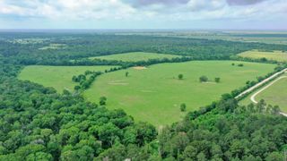 TBD Cr 3510 Road, Lovelady, TX 75851