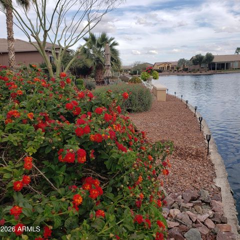 42441 W BLUE SUEDE SHOES Lane, Maricopa, AZ 85138