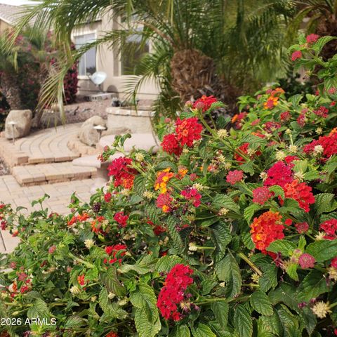 42441 W BLUE SUEDE SHOES Lane, Maricopa, AZ 85138