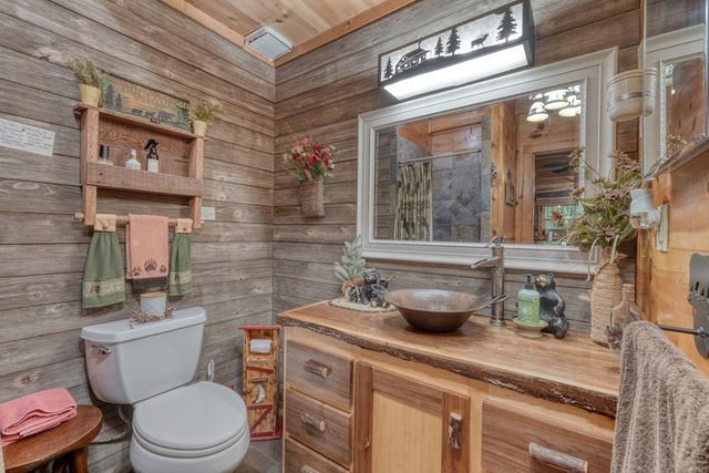 4836 Swallows Creek Road, Hiawassee, GA 30546