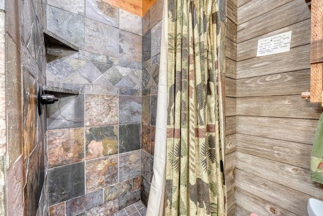 4836 Swallows Creek Road, Hiawassee, GA 30546