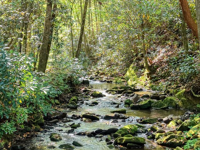 4836 Swallows Creek Road, Hiawassee, GA 30546