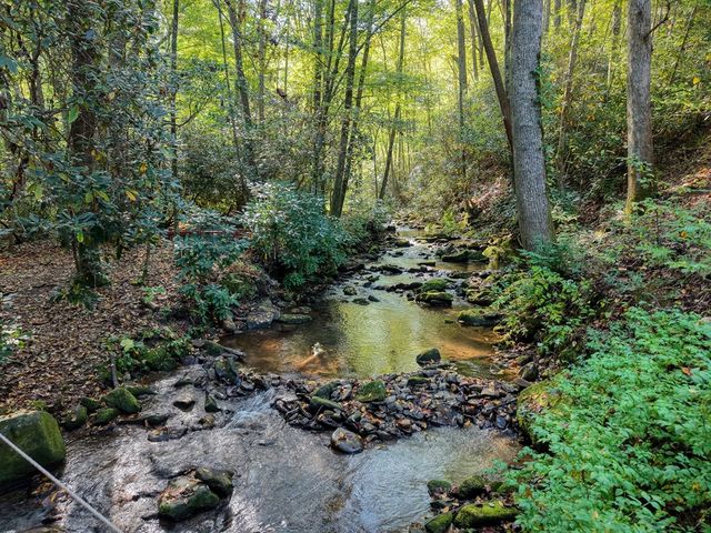 4836 Swallows Creek Road, Hiawassee, GA 30546