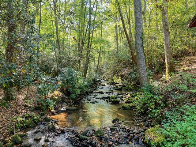 4836 Swallows Creek Road, Hiawassee, GA 30546