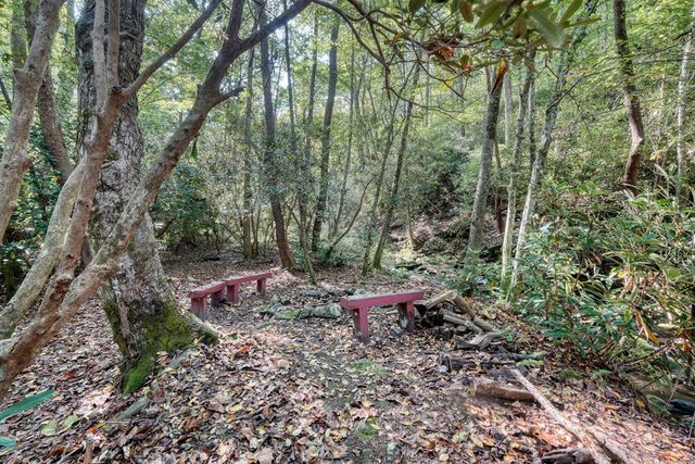 4836 Swallows Creek Road, Hiawassee, GA 30546