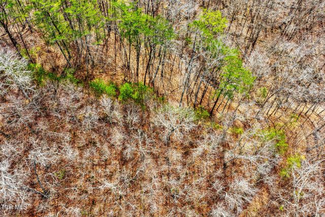 2049 North Highway 70, Rogersville, TN 37857