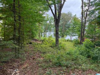 8232 CEDAR MOUNTAIN ROAD, Pinson, AL 35126