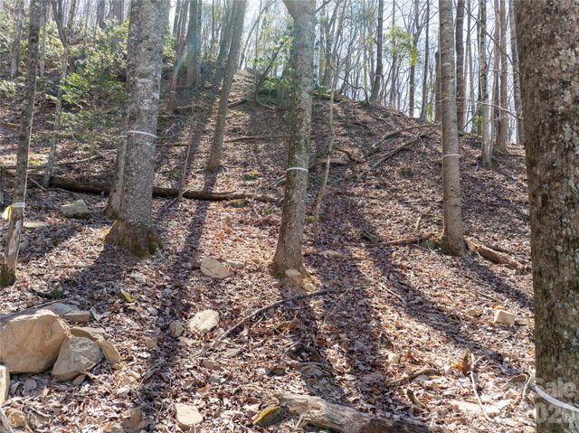 99999 Laurel Drive 12&13, Mills River, NC 28759