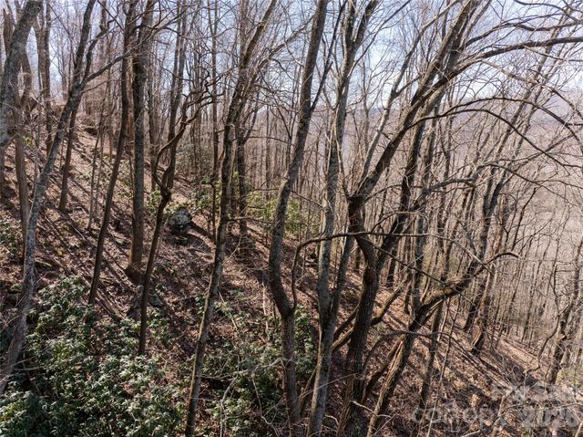 99999 Laurel Drive 12&13, Mills River, NC 28759