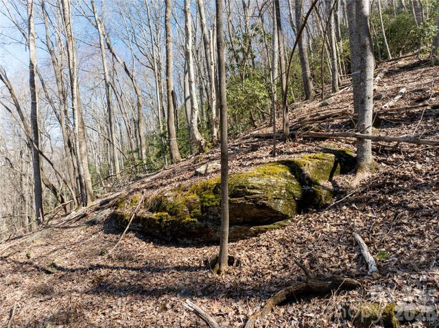 99999 Laurel Drive 12&13, Mills River, NC 28759