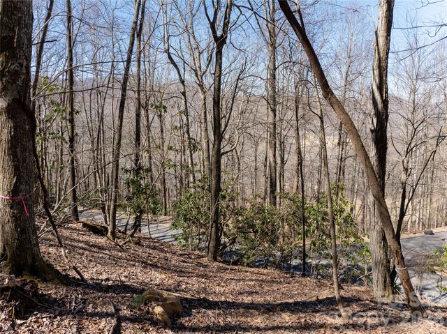 99999 Laurel Drive 12&13, Mills River, NC 28759