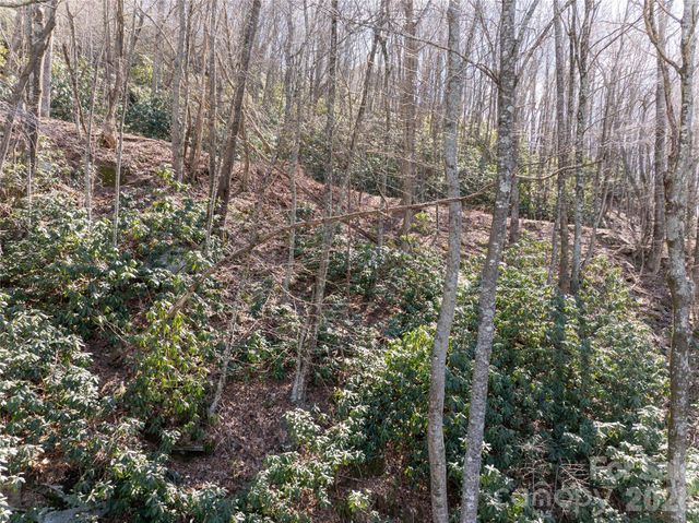 99999 Laurel Drive 12&13, Mills River, NC 28759